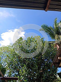 view of the sky in a warm tropical climate country