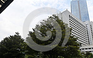 View of skyscrapers and trees in Chillax