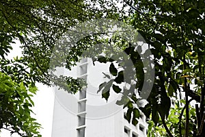 View of skyscrapers , trees in Chillax