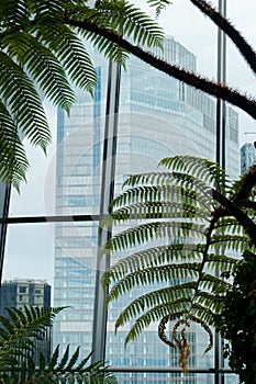 View of skyscrapers through the window of The Sky Garden at 20 Fenchurch Street building