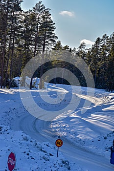 View of a slippery winter road on the Swedish country side, snow and ice hanging from the trees.