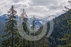 Landscape view of snowy Jasna Low Tatras mountain in May