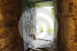 View from the basement small window