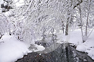 A view at a small creek in Hillsboro park, Oregon after a massive snowfall.