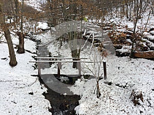 View of a small creek in the middle of a forest during winter