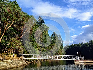 The view of a small dock and ramp leading to the shore of a beautiful island full of Arbutus trees.