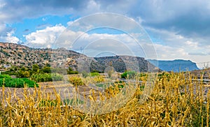 View of small field situated on the saiq plateau at the jebel akhdar mountain in Oman....IMAGE