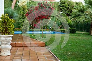 View of small garden with swimming pool inside a luxury villa. Swimming pool surrounded by trees and plants