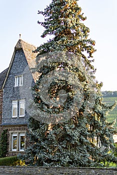 View on small German town located in Mosel river valley, quality wine regio in Germany