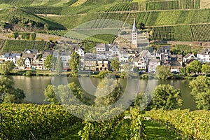 View on small German town located in Mosel river valley, quality wine regio in Germany