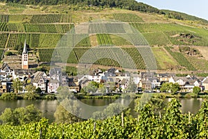 View on small German town located in Mosel river valley, quality wine regio in Germany