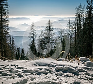 View on the small hills in mist