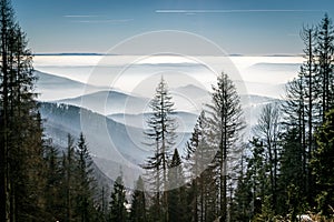 View on the small hills in mist in winter