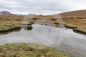 View of a small lagoon, surrounded by diverse vegetation in the highlands.