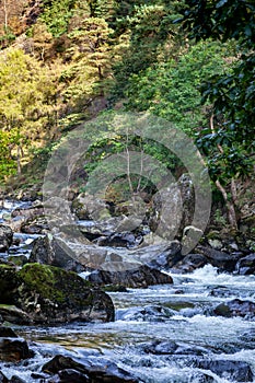 View of small rapids along the Glaslyn River in Autumn