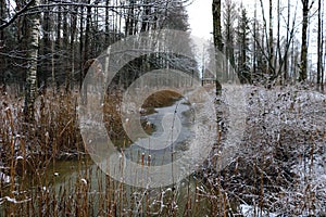 View of a small river in the forest in late autumn. First snow. Early winter