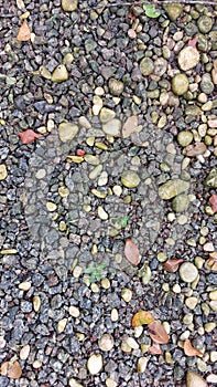 View of small rocks at the garden in jasin melaka