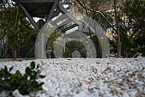 View of small stones and plants with ladder in the background