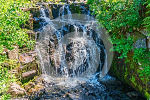 Mount Rainier Summer Waterfall 9