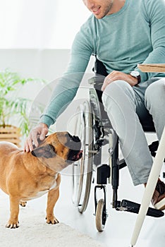 View of smiling disability man stroking french bulldog
