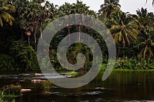 View of smooth and silky flow of water in Bharathappuzha River also known as Nila or Ponnani River, Pollachi, Tamil Nadu, India
