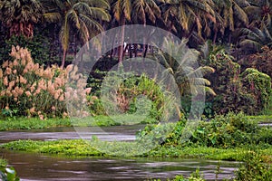 View of smooth and silky flow of water in Bharathappuzha River also known as Nila or Ponnani River, Pollachi, Tamil Nadu, India