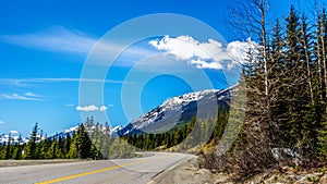 View of the snow capped Coast Mountains along the Duffey Lake Road