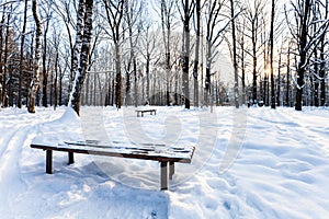 View of snow-covered bench in urban park in winter