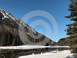 A view of snow covered Lillooet Lake with driftwoods floating on the surface of the lake