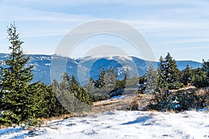 View on the Snow Mountain in Giant Mountains National Park with snow and pines