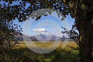 View of Snowdonia from Traeth Glaslyn Nature Reserve in Wales, UK