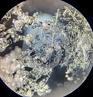 View on snowflake under microscope ocular