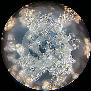 View on snowflake under microscope ocular