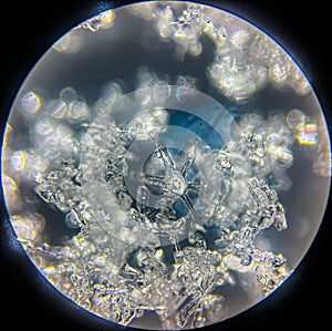 View on snowflake under microscope ocular