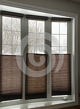 View of snowstorm through bay window with blinds half lowered during winter.