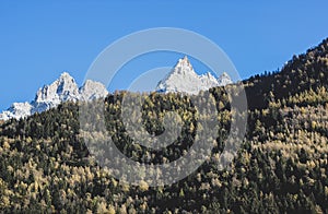 View of snowy Alps mountains and green trees hill