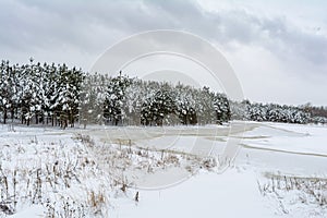 View of a snowy clearing, frozen lake and coniferous forest. Snow blizzard. Gloomy cloudy winter day