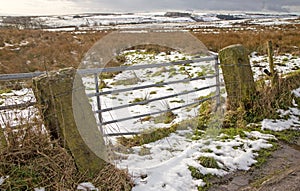 View of a snowy landscape