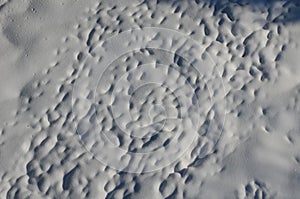 View of a snowy meadow with long snowy human footprints. Drone view creates a pattern of dispersion and paths of human footsteps o