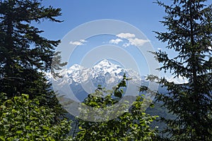 View on snowy mountain peak through trees in Svaneti region of Georgia, Mestia. Mountains ranges. Caucasus mounts. Rocky mountains