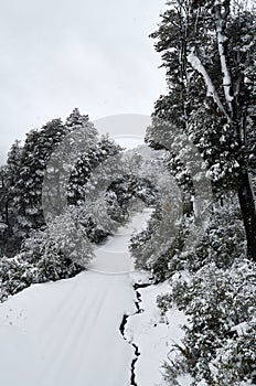 A view of snowy road and trees on the Cerro Bayo Bayo Hill, touristic destination in Villa La Angostura, Neuquen, Patagonia