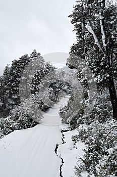 A view of snowy road and trees on the Cerro Bayo Bayo Hill, touristic destination in Villa La Angostura, Neuquen, Patagonia photo