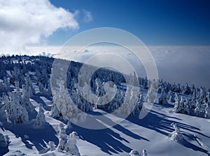 View of a snowy winter mountains, above clouds
