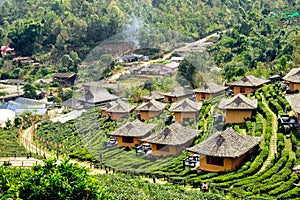 View of soil house resort in tea plantation at Lee Wine Ban Rak