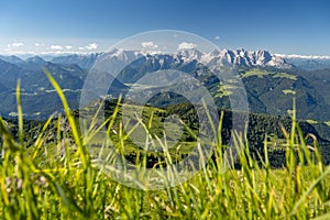 Idyllic summer landscape in Salzburger Land, Pinzgau, Salzburger Land, Austria, Europe photo