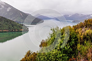 View of the sounds in Queen Charlotte Road, New Zealand