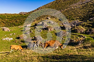 View of the Sousas valley in the Somiedo natural park in Asturias. photo