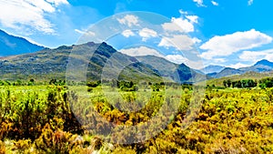 View from the southern end of the Franschhoek Pass, beside the Theewaterkloofdam, looking toward Wemmershoek and Franschhoek Mnts