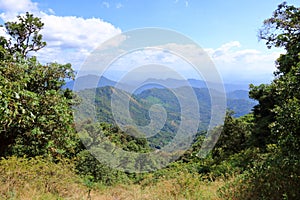 view of the southern tip of the mighty western ghats. Paithalmala is situated in Kannur district of Kerala state in India