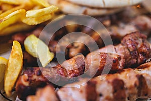 View of Souvlaki on a plate - traditional greek cuisine dish with grilled bbq chicken with french fries and tzatziki sauce served